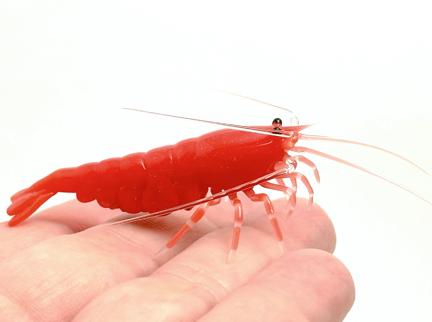 Red Cherry Shrimp with Eggs - Glass Figurine Sculpture