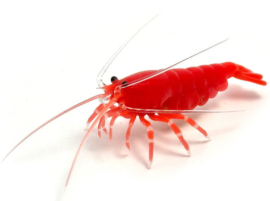 Red Cherry Shrimp with Eggs - Glass Figurine Sculpture