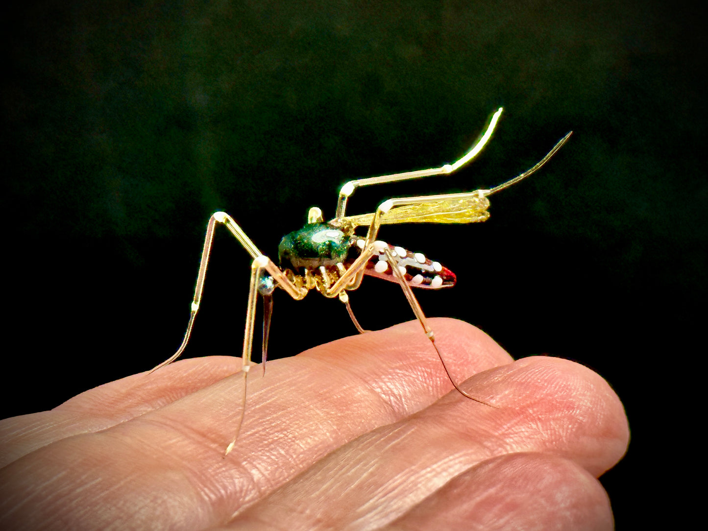 Mosquito - Glass Figurine Sculpture