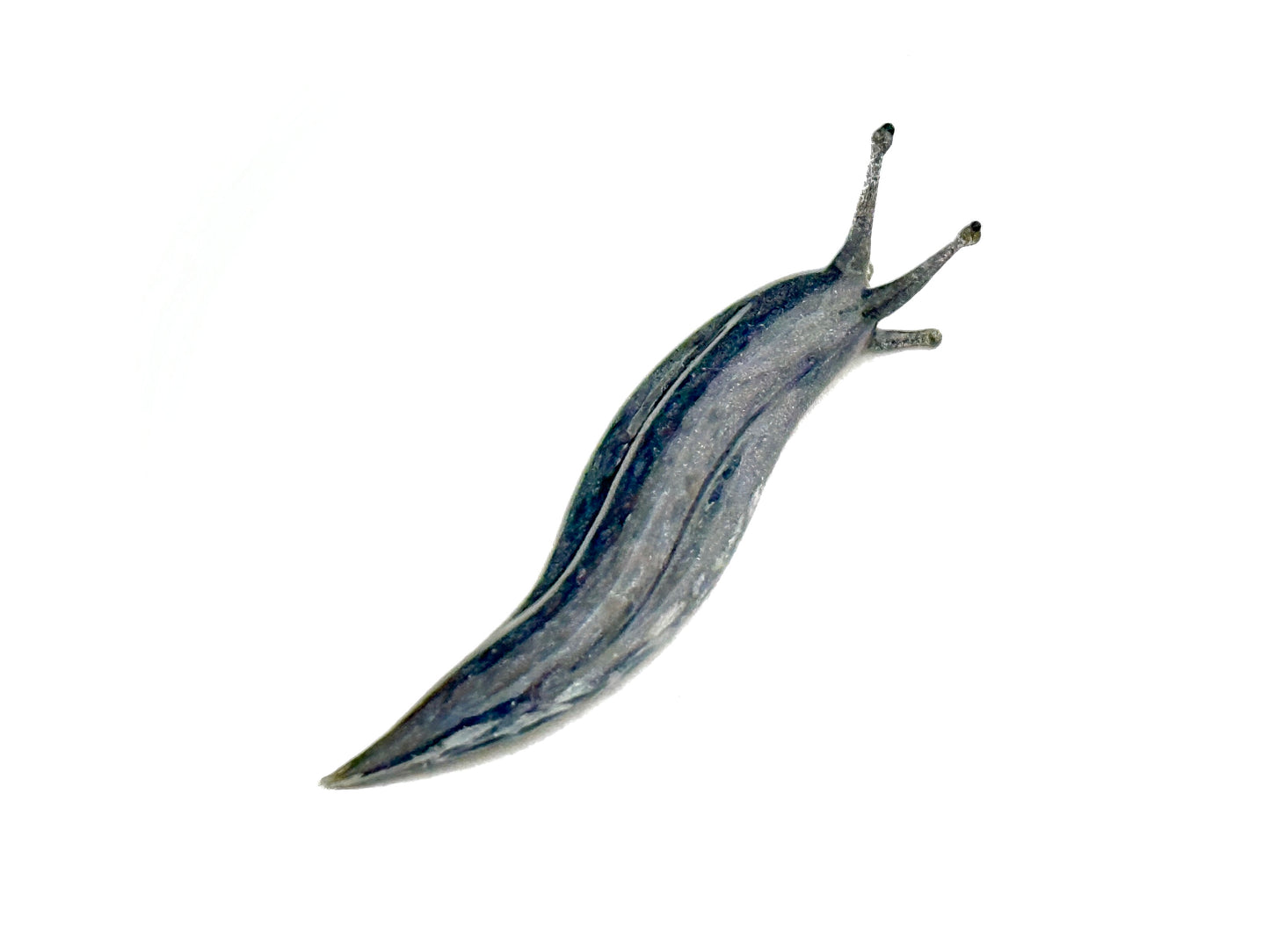 Marbled Slug - Glass Figurine Sculpture