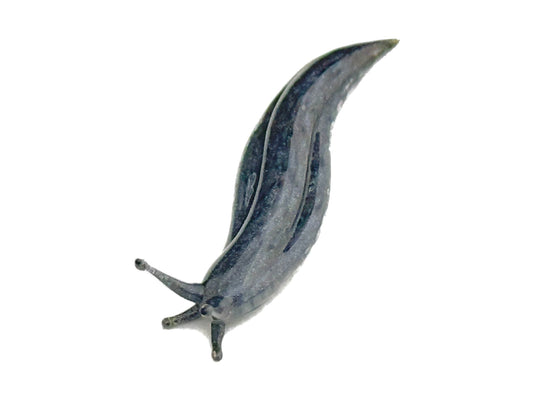 Marbled Slug - Glass Figurine Sculpture