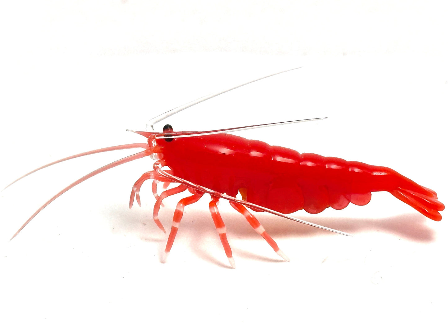 Red Cherry Shrimp with Eggs - Glass Figurine Sculpture