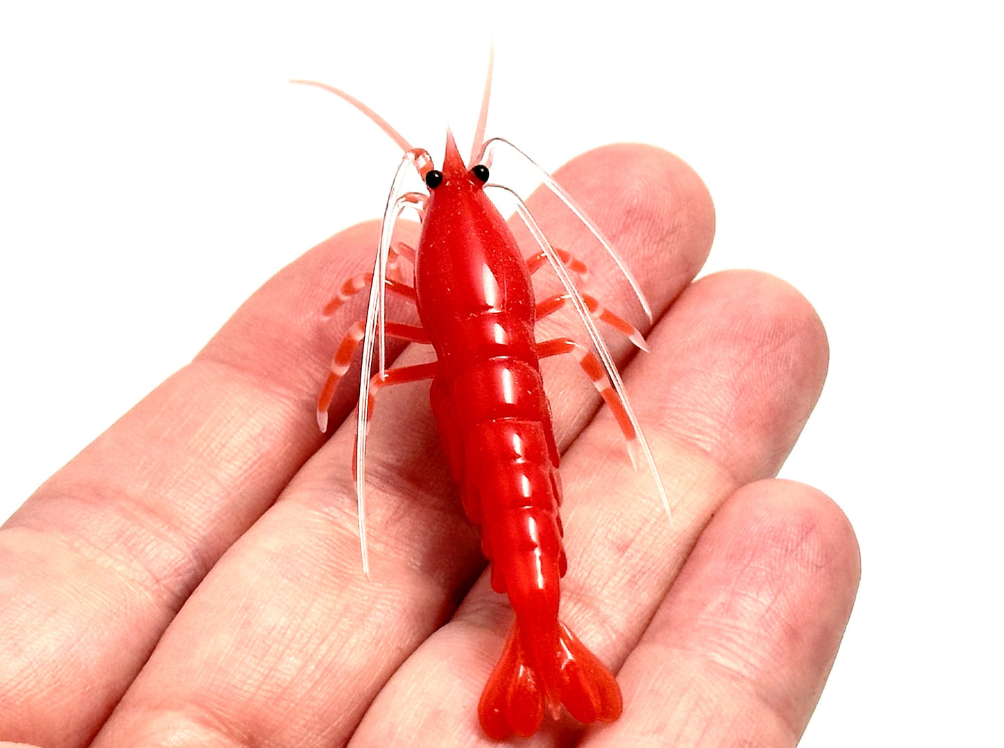 Red Cherry Shrimp with Eggs - Glass Figurine Sculpture